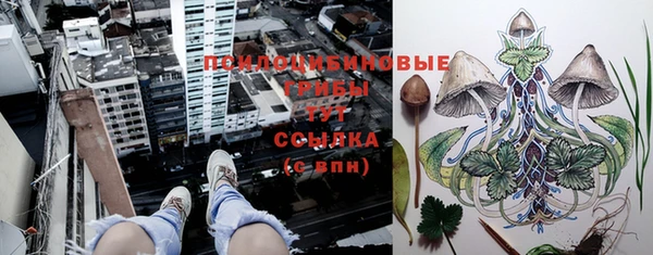 2c-b Киренск