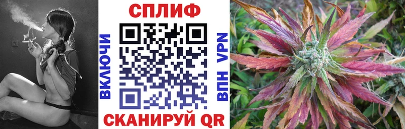 Конопля планчик  Короча 